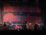 15641 Dropkick Murphys.jpg